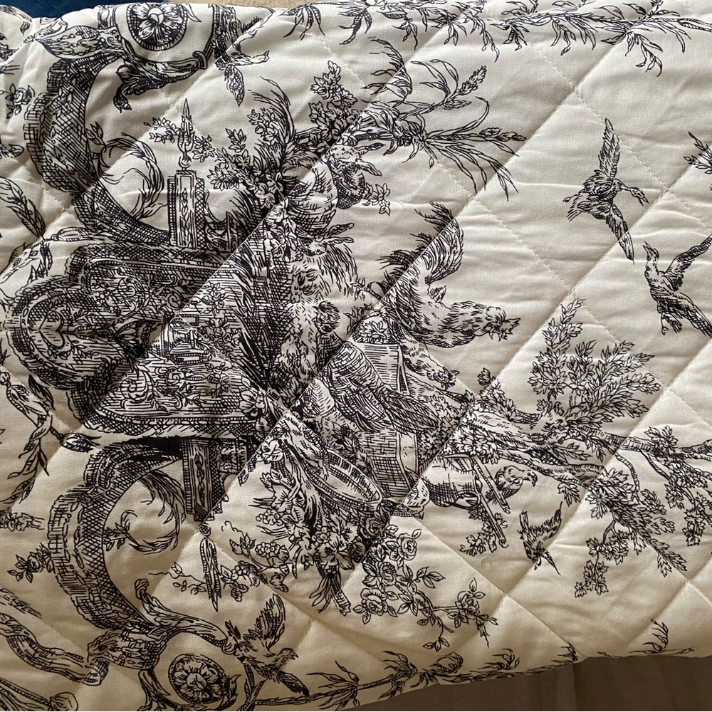 Classic Black and White Toile queen size Quilt - no shams - Picture 7 of 10